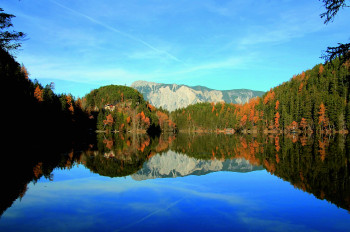 Besonders schön ist das Farbenspiel der spiegelnden Bäume im Herbst am Piburger See.