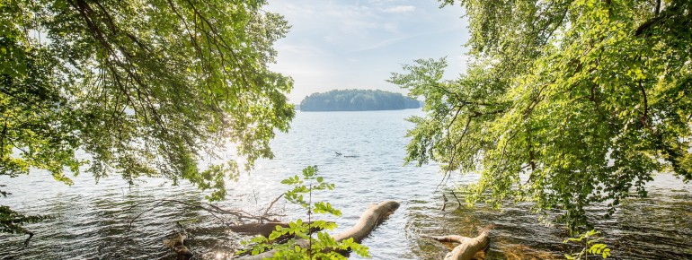 Ruhig gelegen im Naturpark Schlaubetal lädt der Pinnower See mit klarer Wasserqualität und waldreicher Umgebung zum Entspannen, Baden und Aktivsein ein.