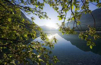 Der Plansee ist einer der saubersten Seen Tirols.