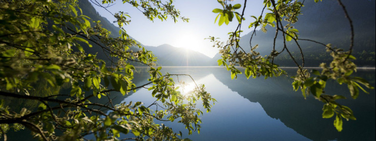 Der Plansee ist einer der saubersten Seen Tirols.