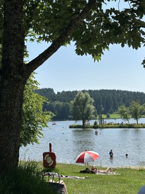 Auf der Liegewiese ist viel Platz. Durch die Bäume ist auch genügend Schatten vorhanden.
