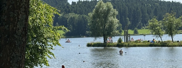 Auf der Liegewiese ist viel Platz. Durch die Bäume ist auch genügend Schatten vorhanden.
