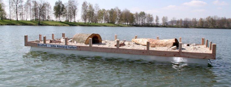 Die Brutinsel mitten auf dem Satzdorfer See ist wohl in dieser Art einzigartig