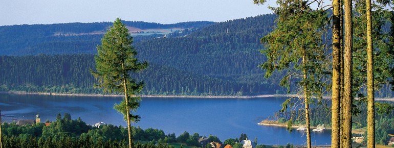 Der Schluchsee im Schwarzwald liegt auf 930m Höhe.