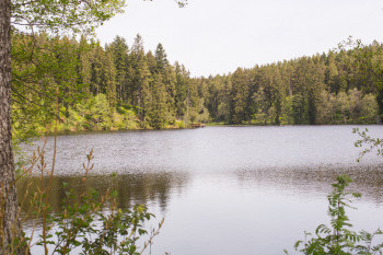 Der Schlüchtsee liegt inmitten eines Naturschutzgebietes zwischen Grafenhausen und Rothaus.