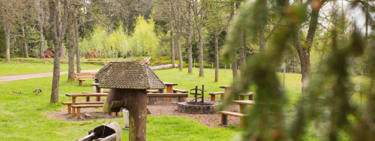 In der Nähe des Badesees gibt es einen Grillplatz.