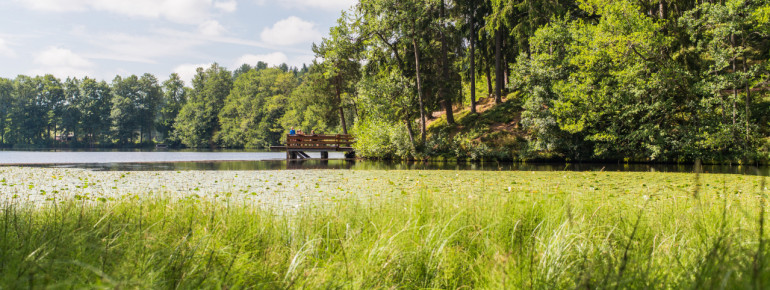 Ein Drittel des Sees wird von Seerosen und Enten bevölkert.