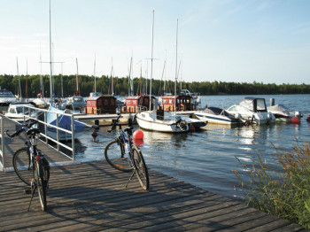 Radwege führen um den See und in das Lausitzer Seenland.