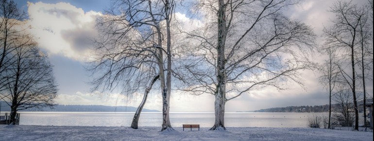 Winter am Starnberger See