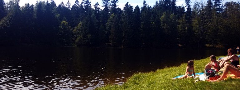Der Riedelsbacher Stausee liegt idyllisch direkt am Waldrand