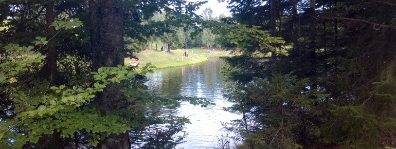 Um den See führt ein kleiner Pfad der zum Spaziergang einlädt