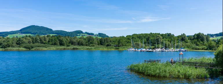 Blick auch Segelclub und Strandbad in Staffl am Obertrumer See.