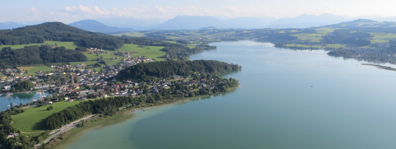 Vom Obertrumer See hat man auch einen tollen Blick auf die Alpen.