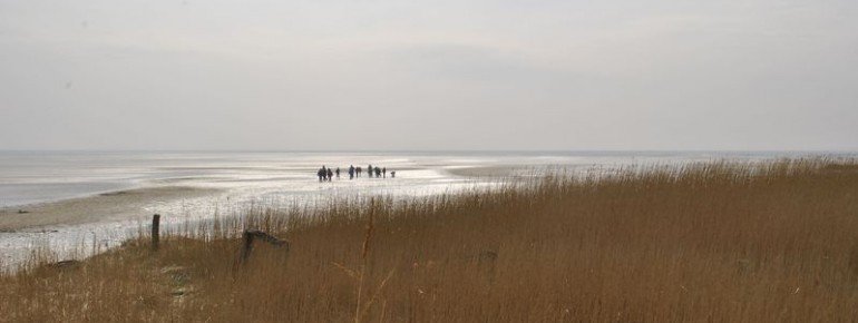 Wattwanderungen auf Sylt.