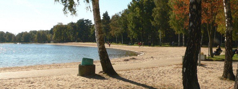 Birken spenden Schatten am Sandstrand des Tankumsees