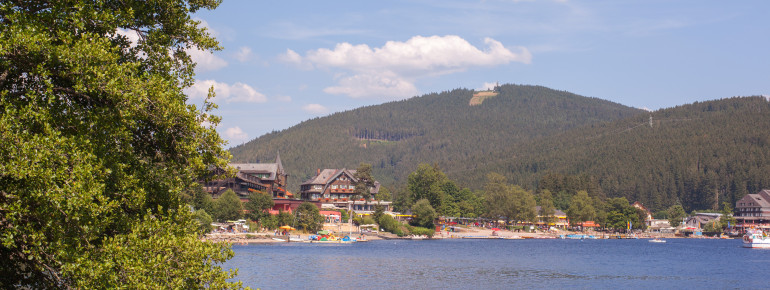 Blick auf den Titisee