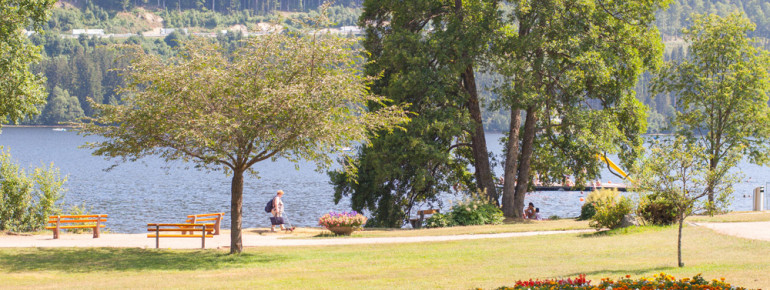 Der Kurgarten in Titisee