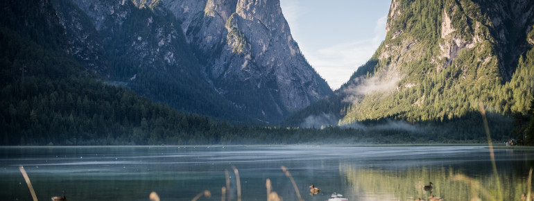 Ein Naturlehrpfad bietet Informationen über die Flora und Fauna rund um den See.