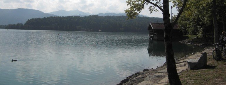 Ufer des Walchensees