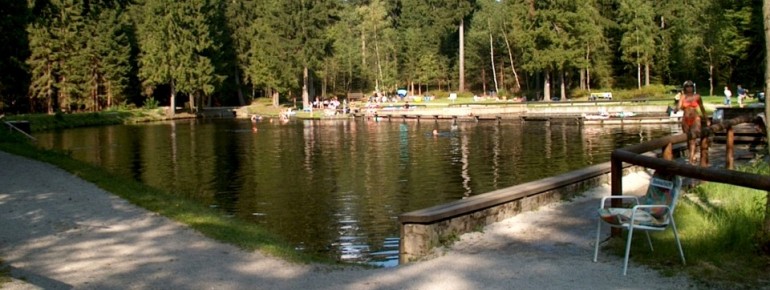 Außen um das Waldmoorbad Fleckl führt ein Rad- und Spazierweg