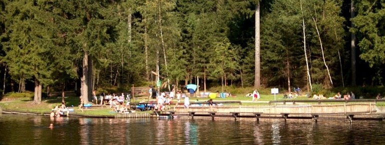 Liegewiese am Moorbad Fleckl