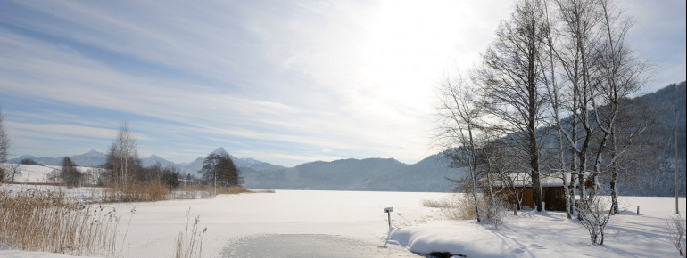 Auch im Winter lädt der See zu einem Spaziergang ein.