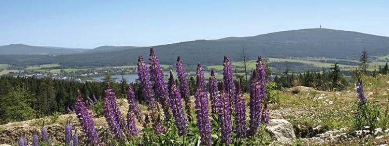 Panoramablick auf den Weißenstädter See und die beeindruckende Umgebung
