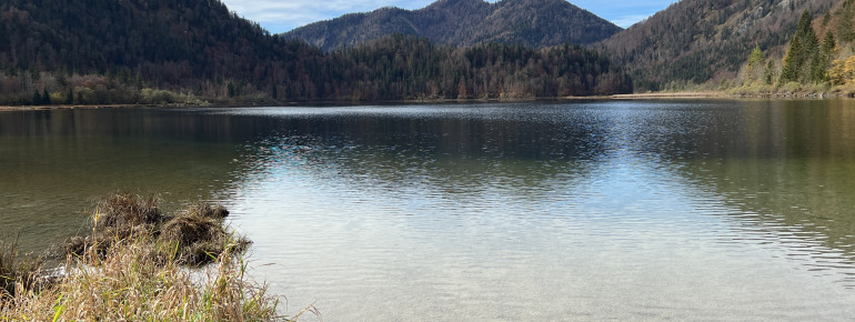 Der Weitsee im Herbst