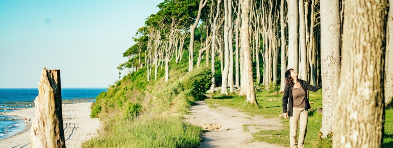 Just behind the beach, the mysterious Ghost Forest invites you to take shady walks along the steep coastline.