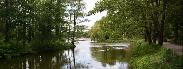 The North side of Jungfernheide pond.
