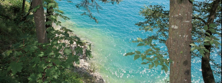 The water is exeptionally clear.