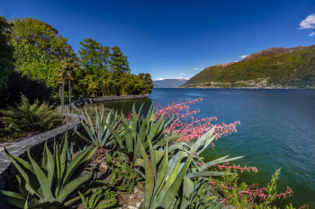 There is a botanical garden on the Brissago Islands.