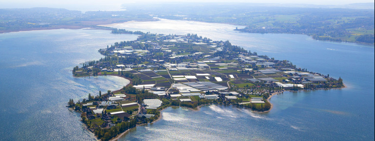 Monastic Island of Reichenau is Lake Constance's largest island.