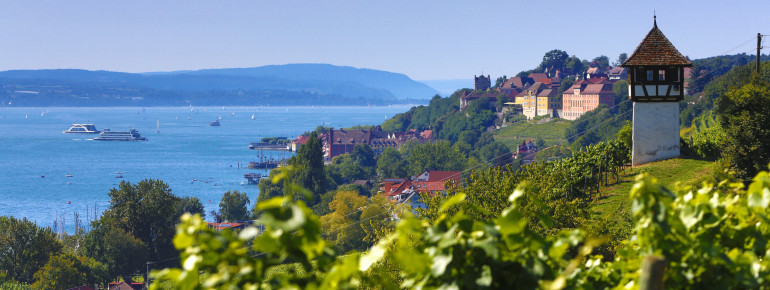 Meersburg is surrounded by vineyards.