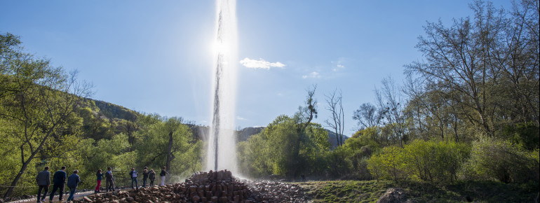 Geysir Andernach