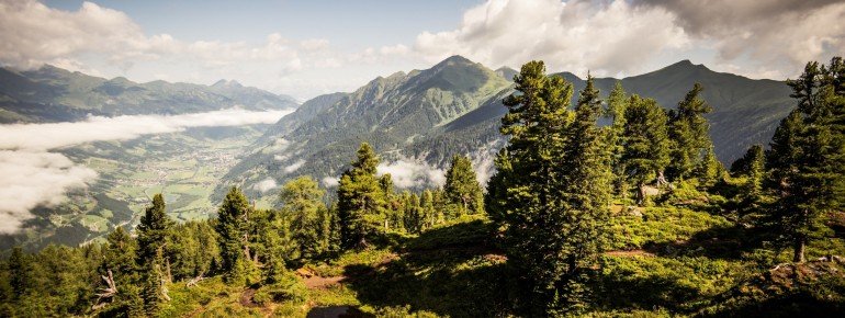 Zirbenweg Graukogel Gasteinertal