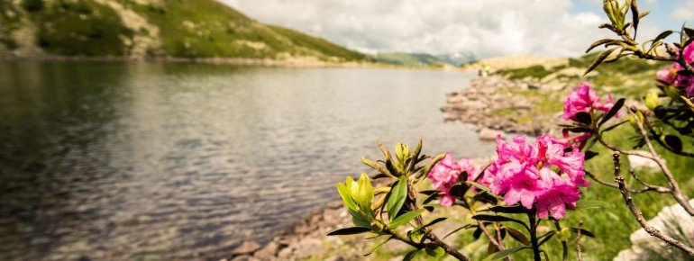 Wandern am Palfnersee Bad Gastein Gasteinertal