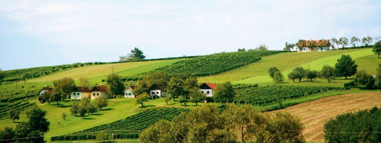 Der Wintenerberg im Südburgenland