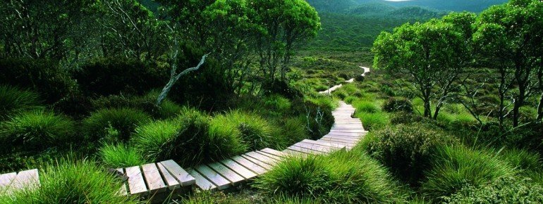 Cradle Mountain Huts Walk, Lake St Clair National Park, TAS 2011