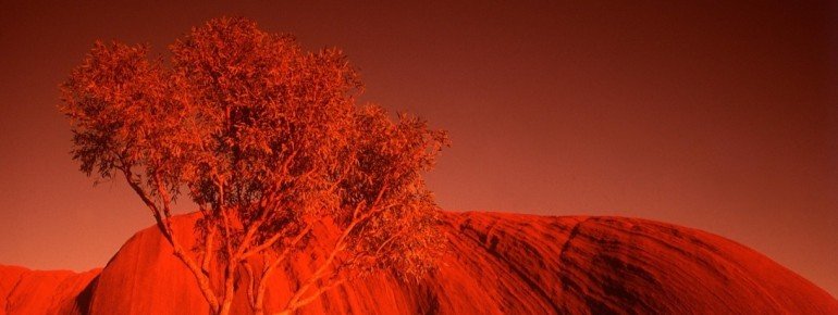 NT; Red Centre; Uluru; 1999