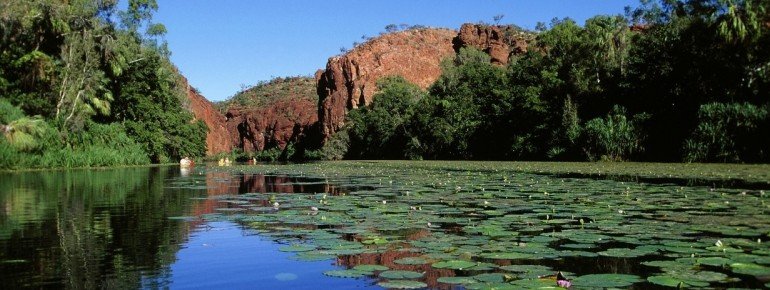 Qld; Outback; National Parks; Lawn Hill National Park; 1995