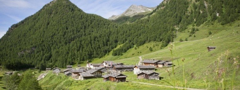 Fane Alm in der Almenregion Gitschberg Jochtal