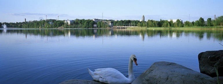 Swan Tool Bay Helsinki