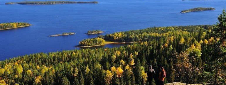 Koli autumn