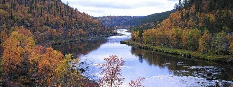 Kakslauttanen, Autumn colours, Finland