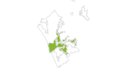 Karte der Wetter in Zentral-Auckland