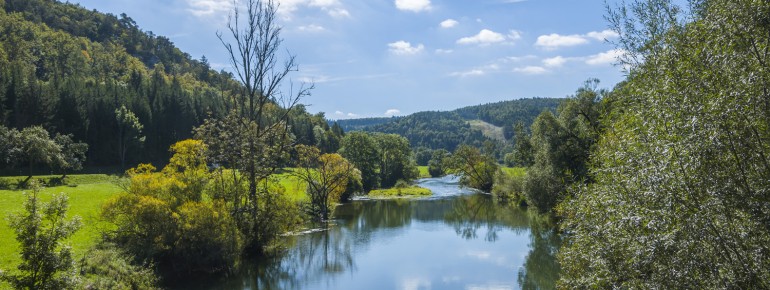 Nature at its best: the upper Danube valley near Beuron.