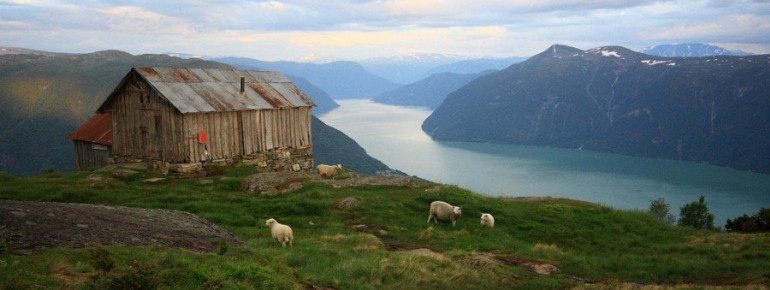 Blick über den Sognefjord