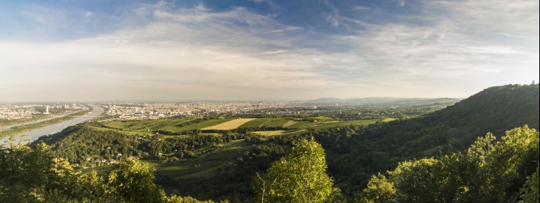 Blick über Wien