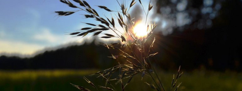 Entdecke die facettenreiche Landschaft zu Fuß!